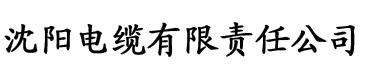 镜的欢迎会电缆厂logo